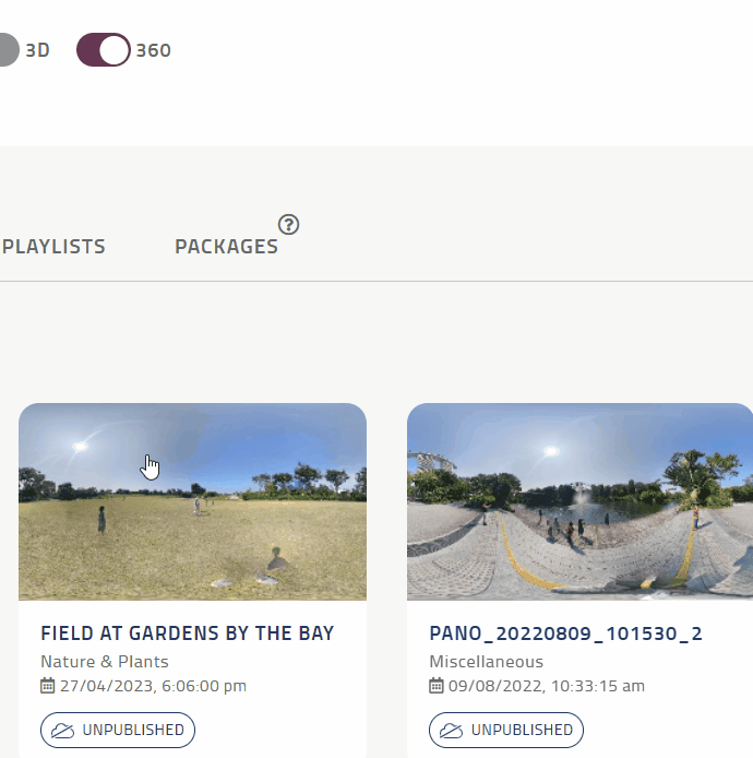 Set copyright info on 360 images