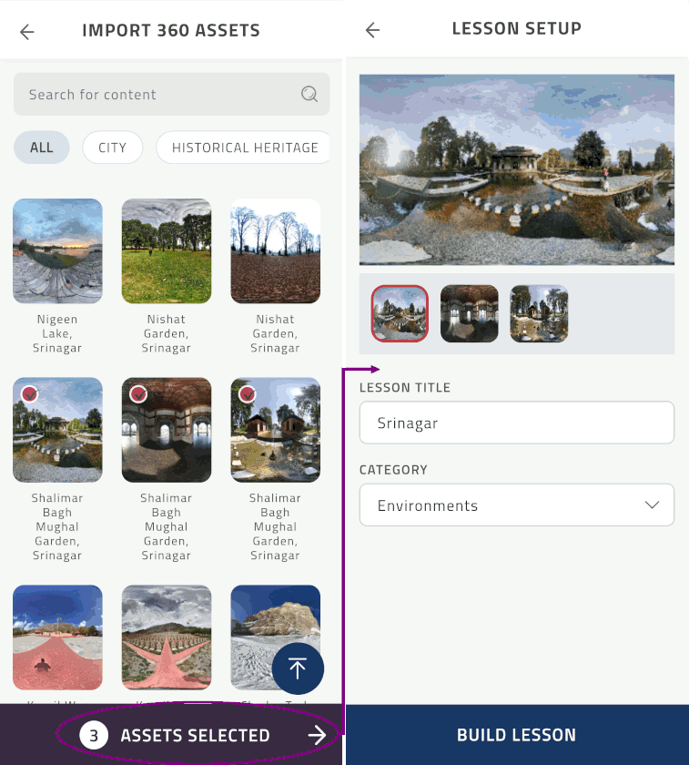 ../_images/901-selectasset.png